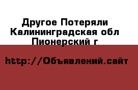 Другое Потеряли. Калининградская обл.,Пионерский г.